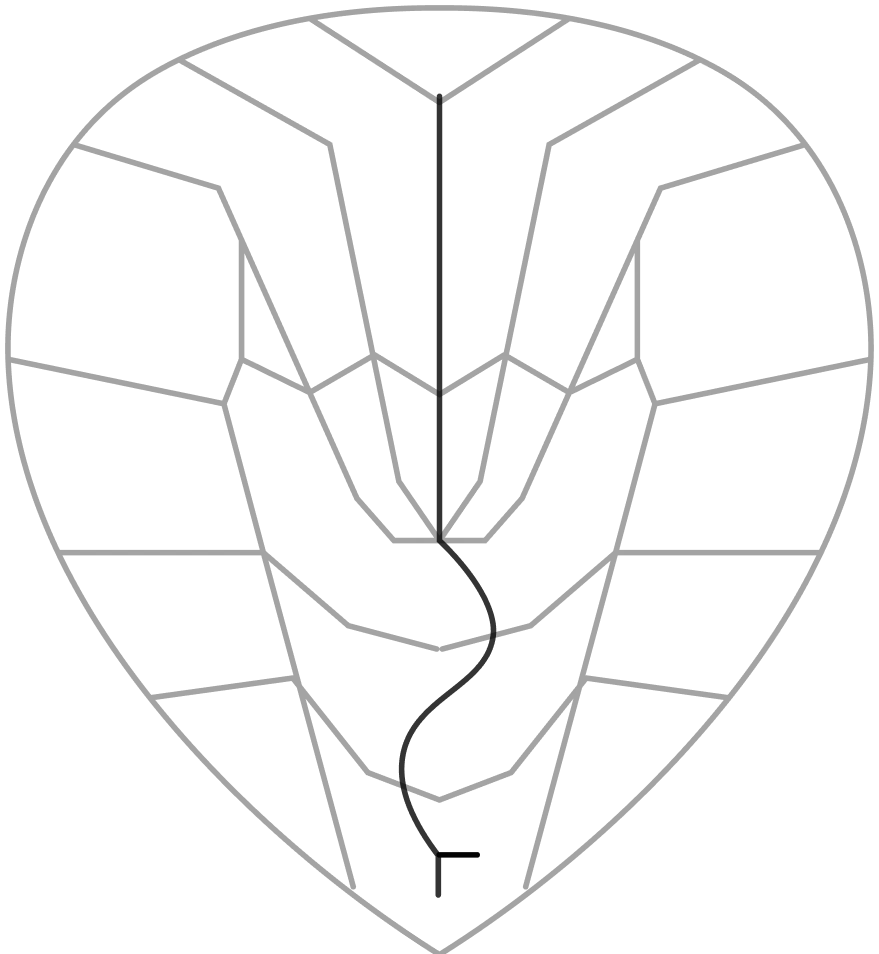 CoVLA-Dataset